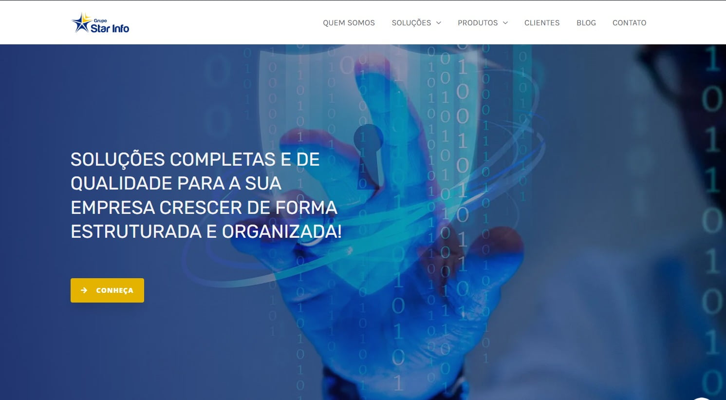 Star Info Servicos de Informatica Ltda